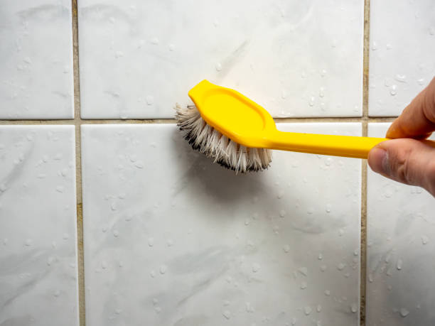 Best Professional Mold Removal  in Mayfield, OH